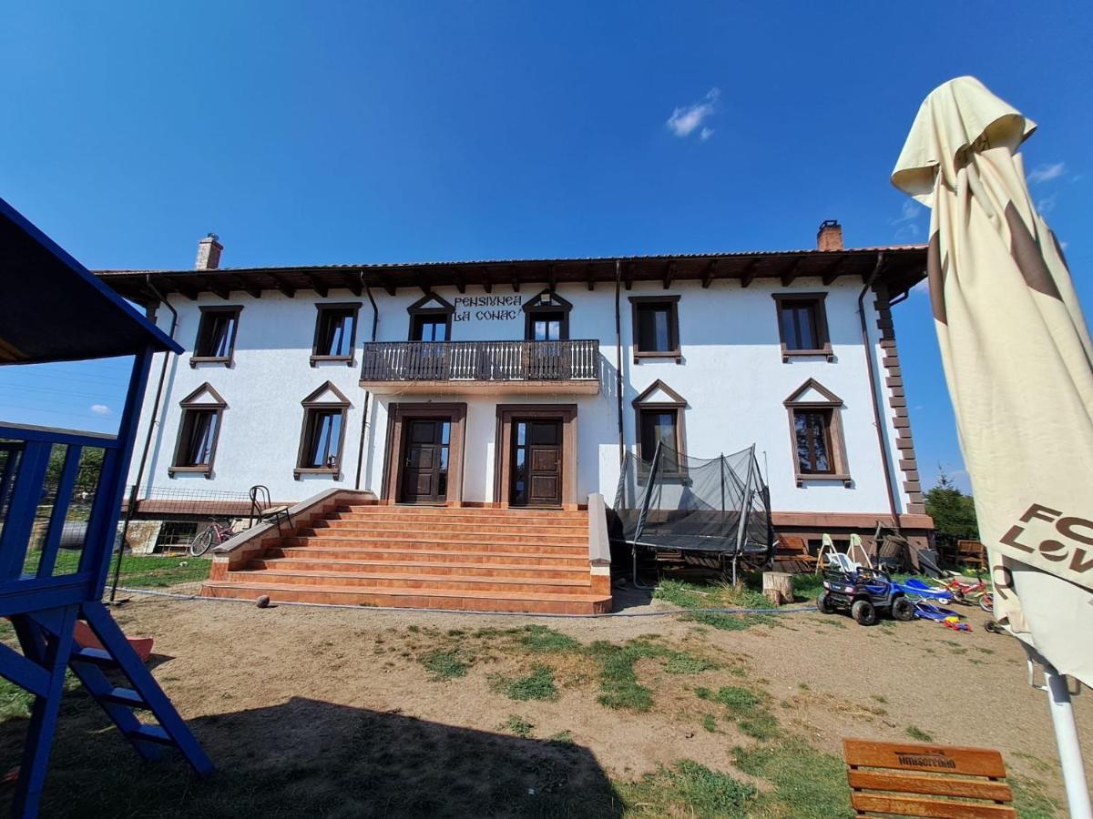 Pensiunea La Conac Bîrlad 외부 사진